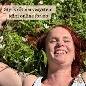 Styrk dit nervesystem